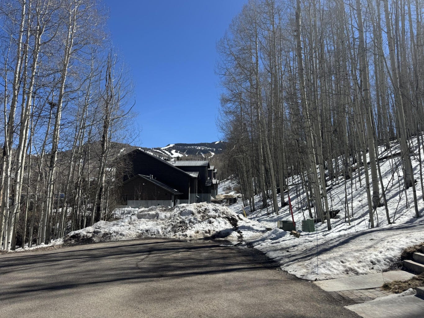 304 Adams Ranch Road #7, Mountain Village, CO 81435
