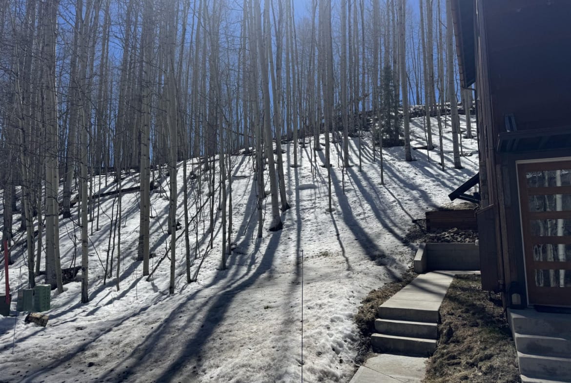 304 Adams Ranch Road #7, Mountain Village, CO 81435