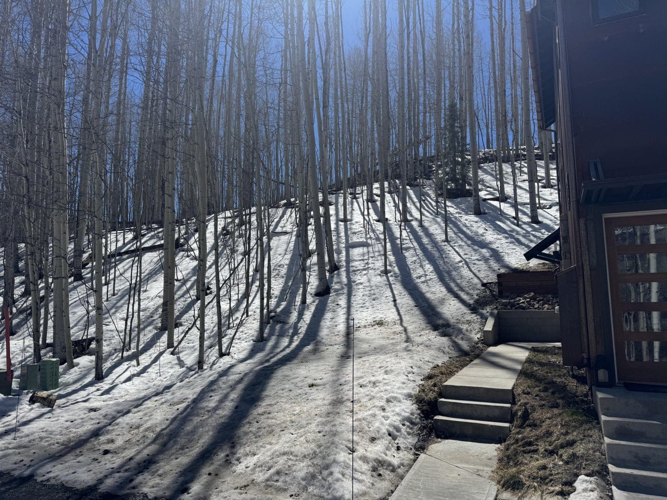 304 Adams Ranch Road #7, Mountain Village, CO 81435