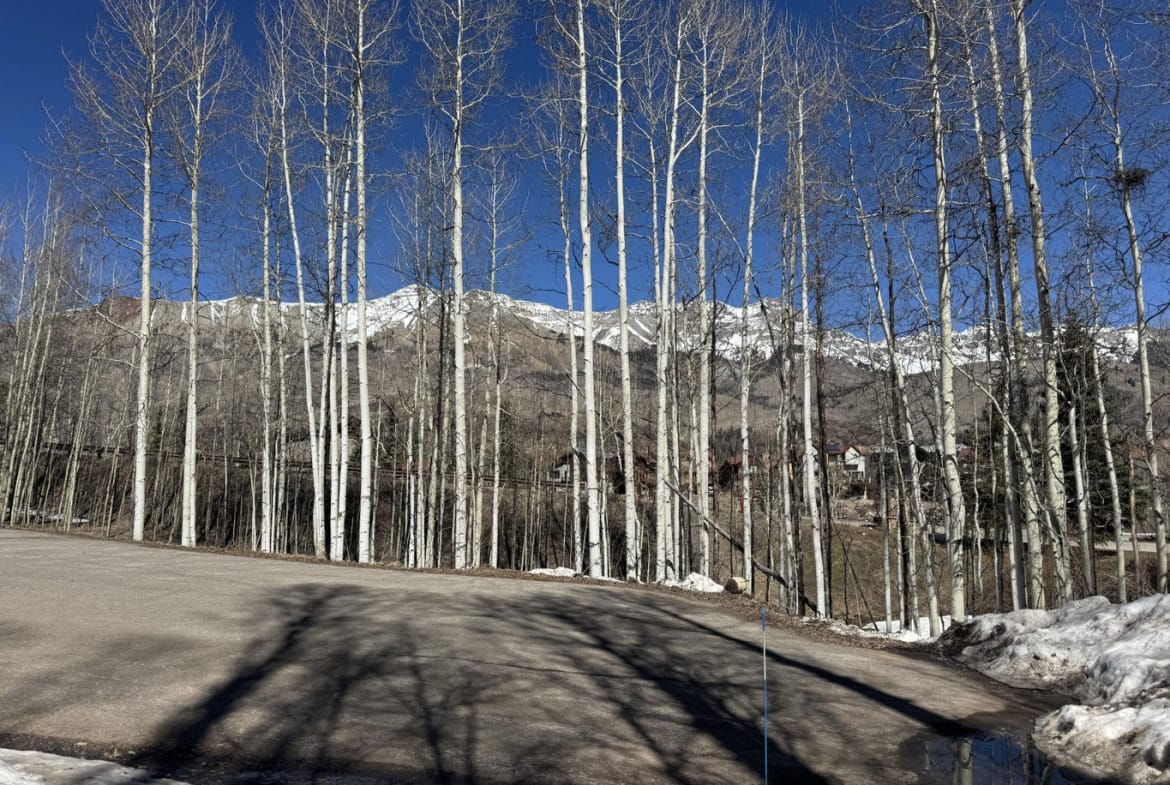304 Adams Ranch Road #7, Mountain Village, CO 81435
