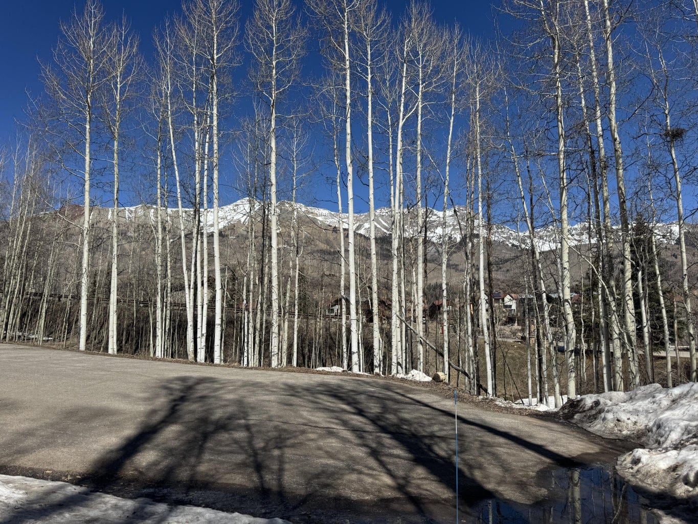 304 Adams Ranch Road #7, Mountain Village, CO 81435