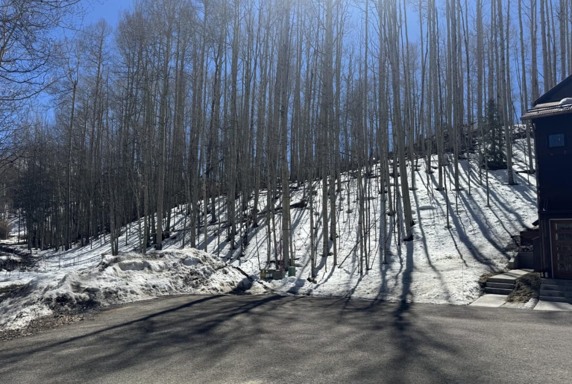 304 Adams Ranch Road #7, Mountain Village, CO 81435