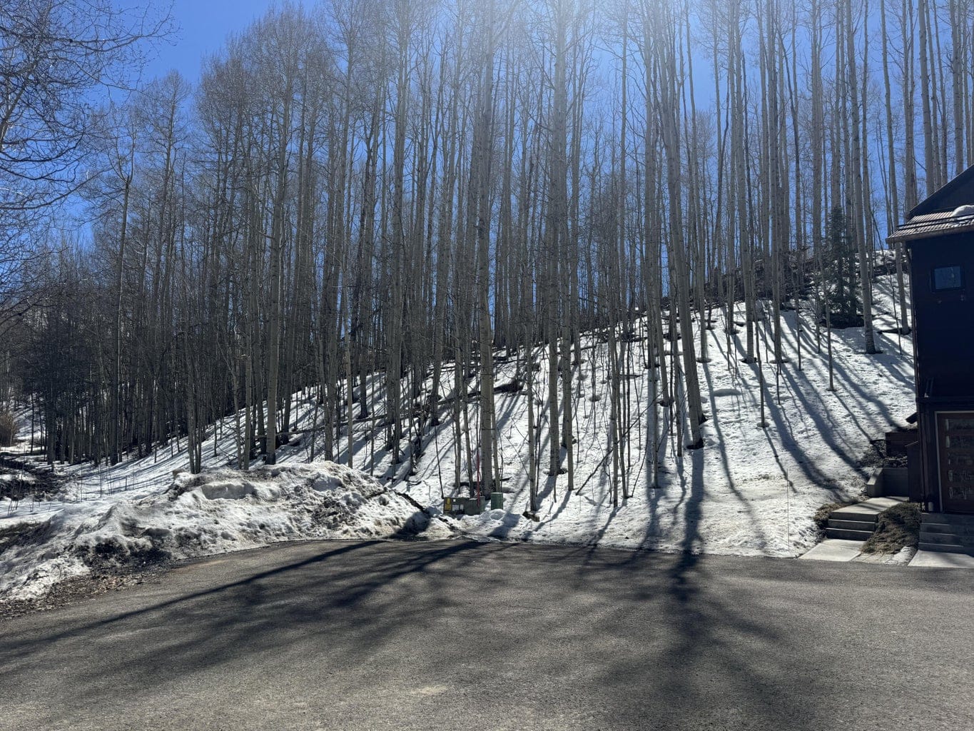 304 Adams Ranch Road #7, Mountain Village, CO 81435