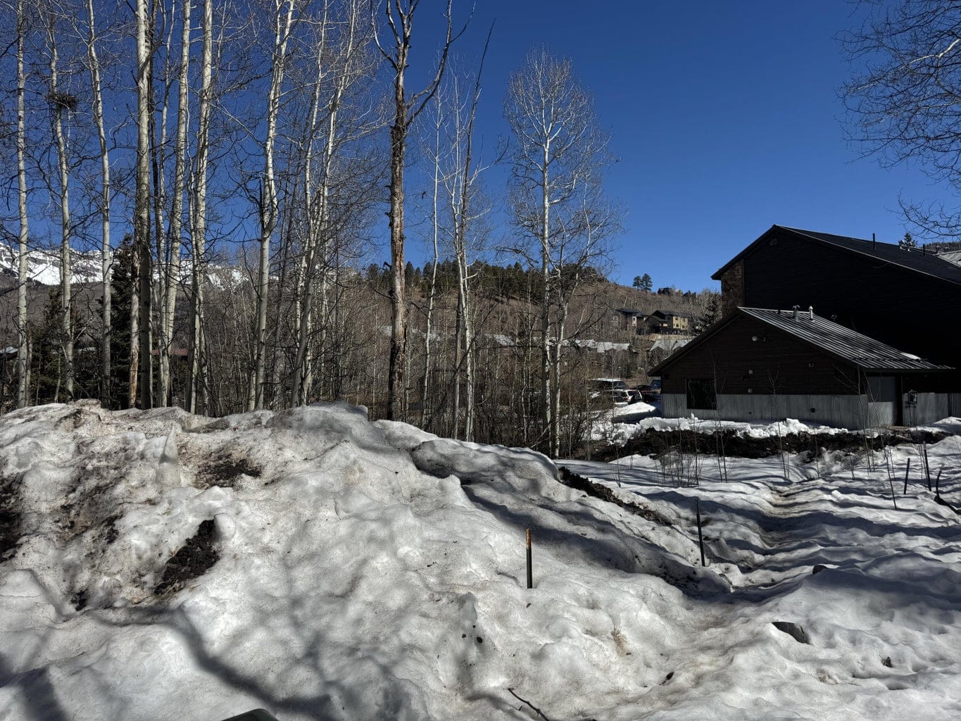 304 Adams Ranch Road #7, Mountain Village, CO 81435