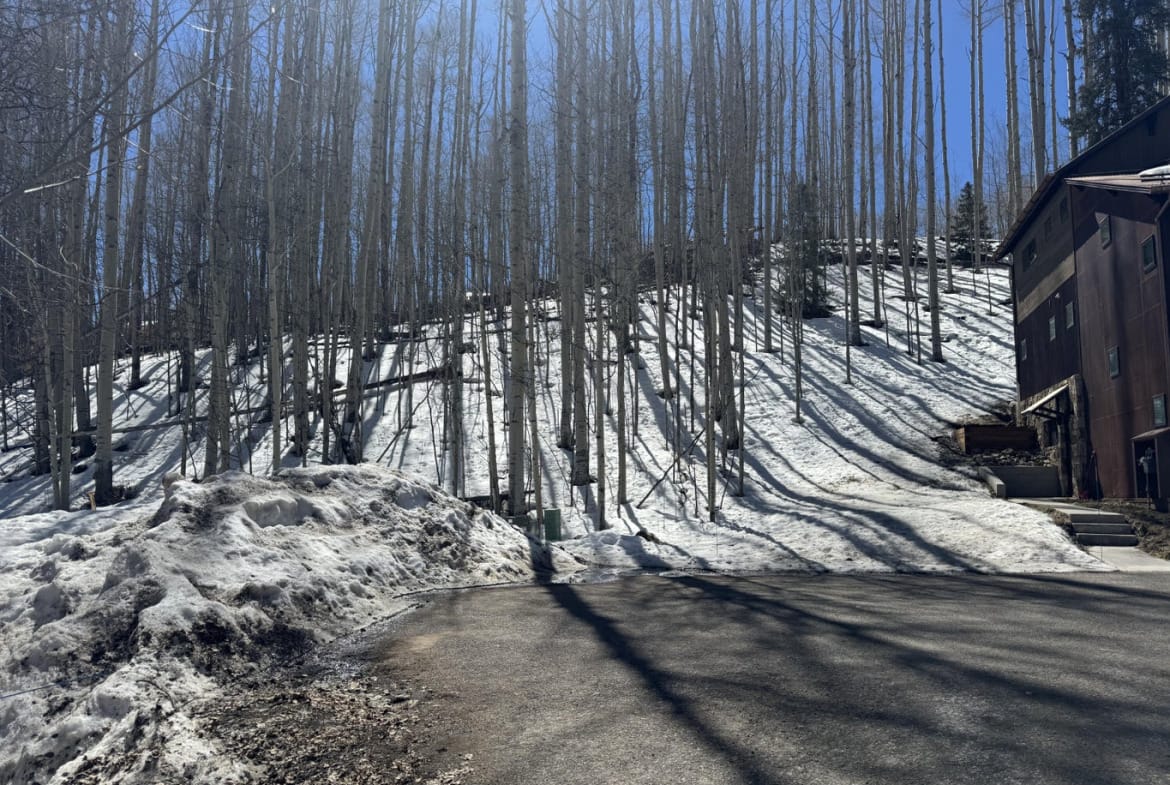 304 Adams Ranch Road #7, Mountain Village, CO 81435