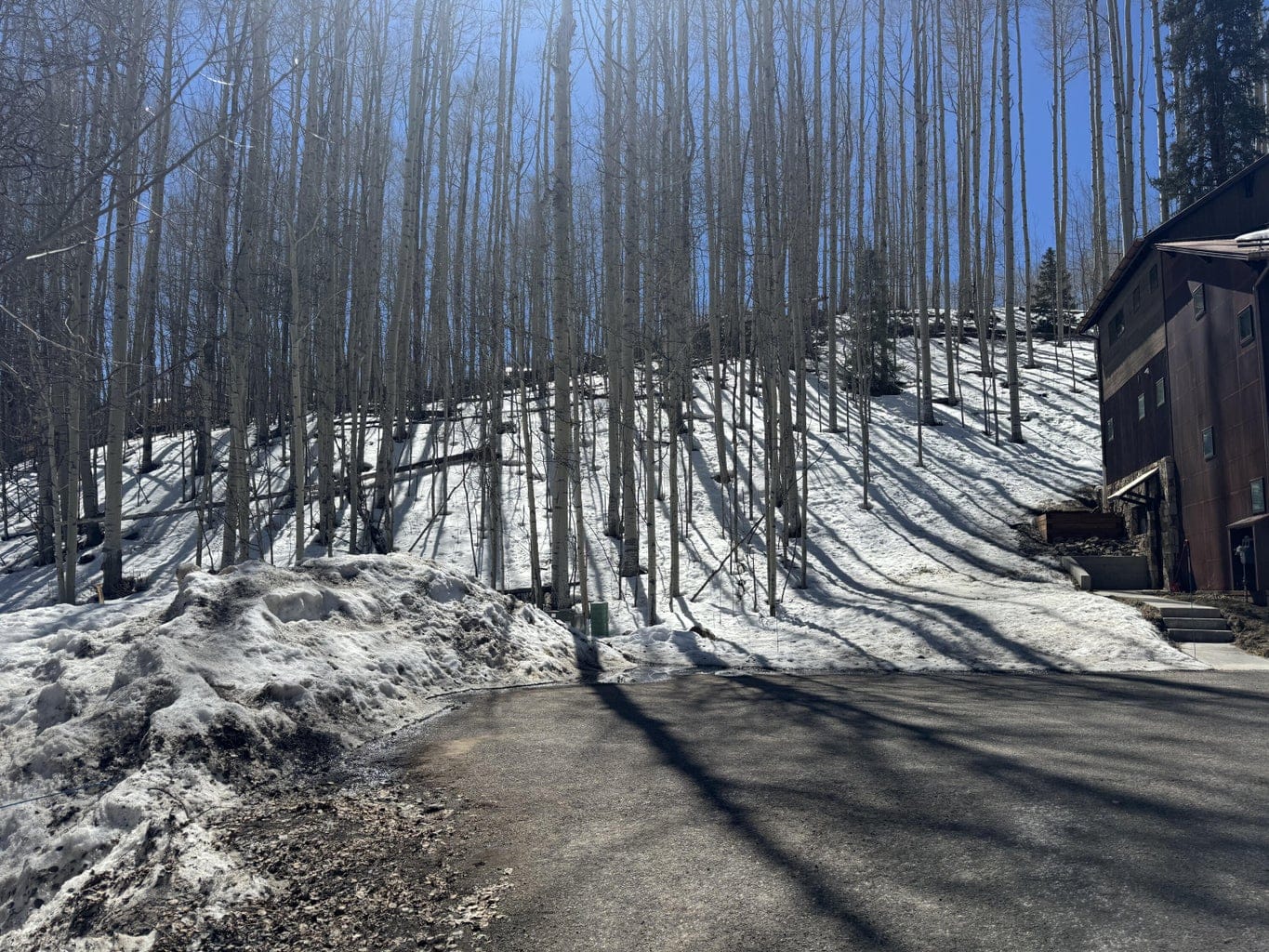 304 Adams Ranch Road #7, Mountain Village, CO 81435